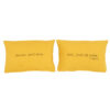 SWITCH - Curry – Silkscreened Cushions Pair – 25x40cm (Cushioning Included)