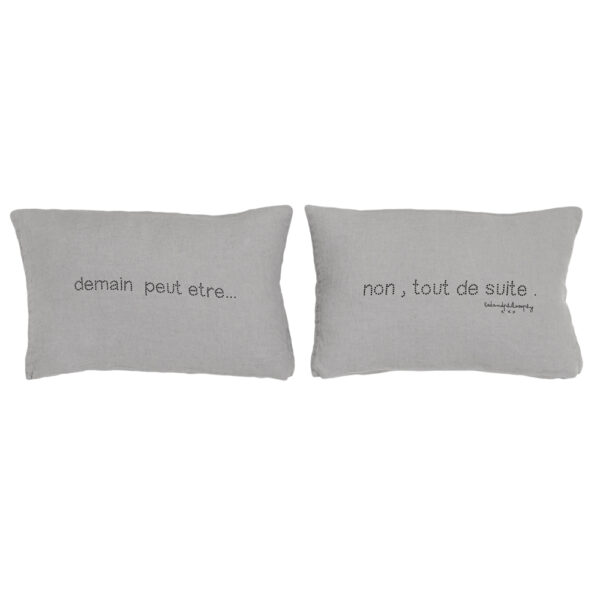 SWITCH - Orage – Silkscreened Cushions Pair – 25x40cm (Cushioning Included)