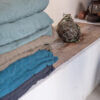 FULLY - Minéral – Washed Linen Quilt – 90x200cm (Garniture Incluse)
