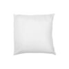 Oreiller 35 x 35 cm - Garniture de coussin 5 Oreiller / garniture de coussin en plume naturelle